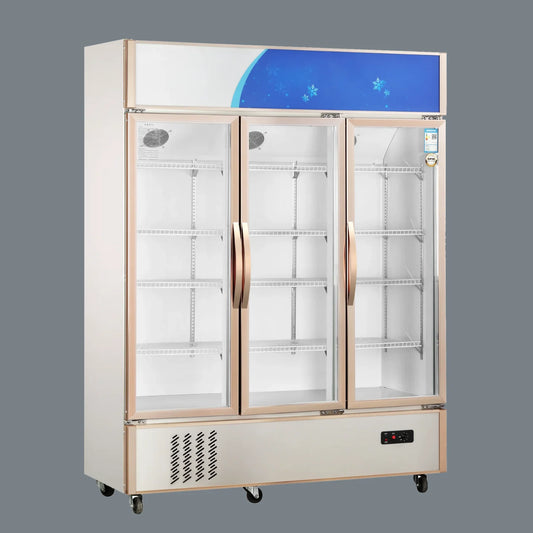 Upright Glassdoor Chiller - Economy - Ventilated Cooling (3 Doors)